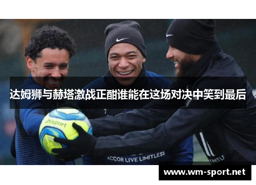 达姆狮与赫塔激战正酣谁能在这场对决中笑到最后